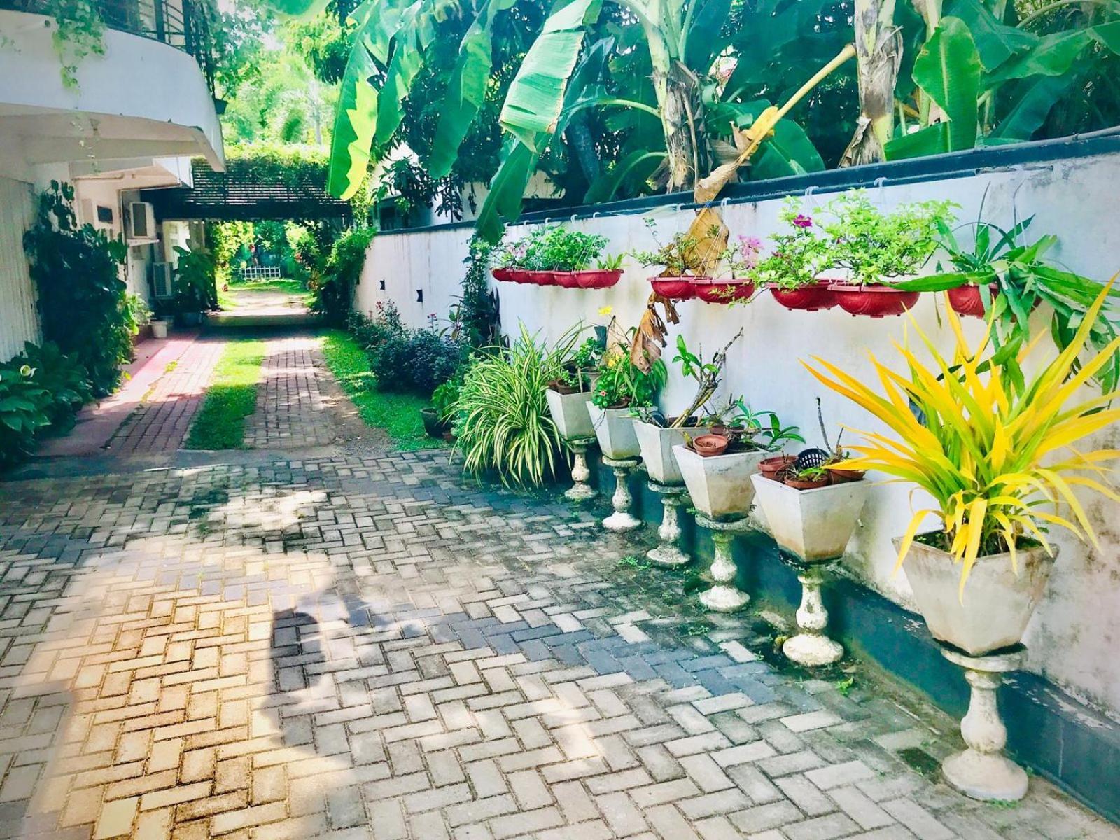אנוראדפורה Pinidiya Resort מראה חיצוני תמונה