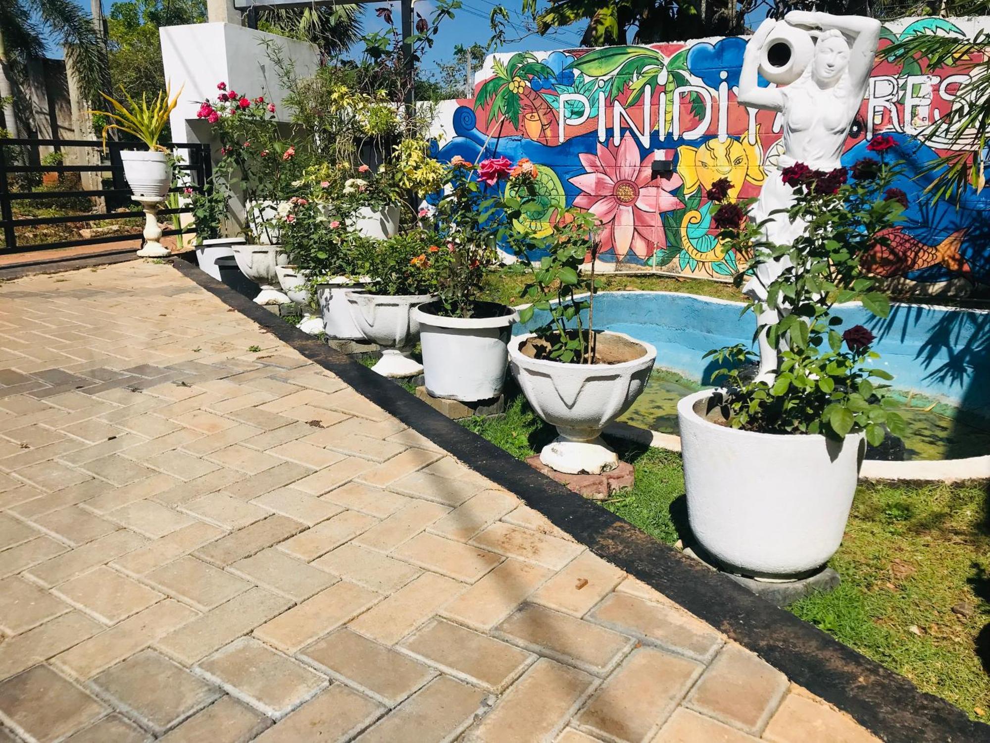 אנוראדפורה Pinidiya Resort מראה חיצוני תמונה