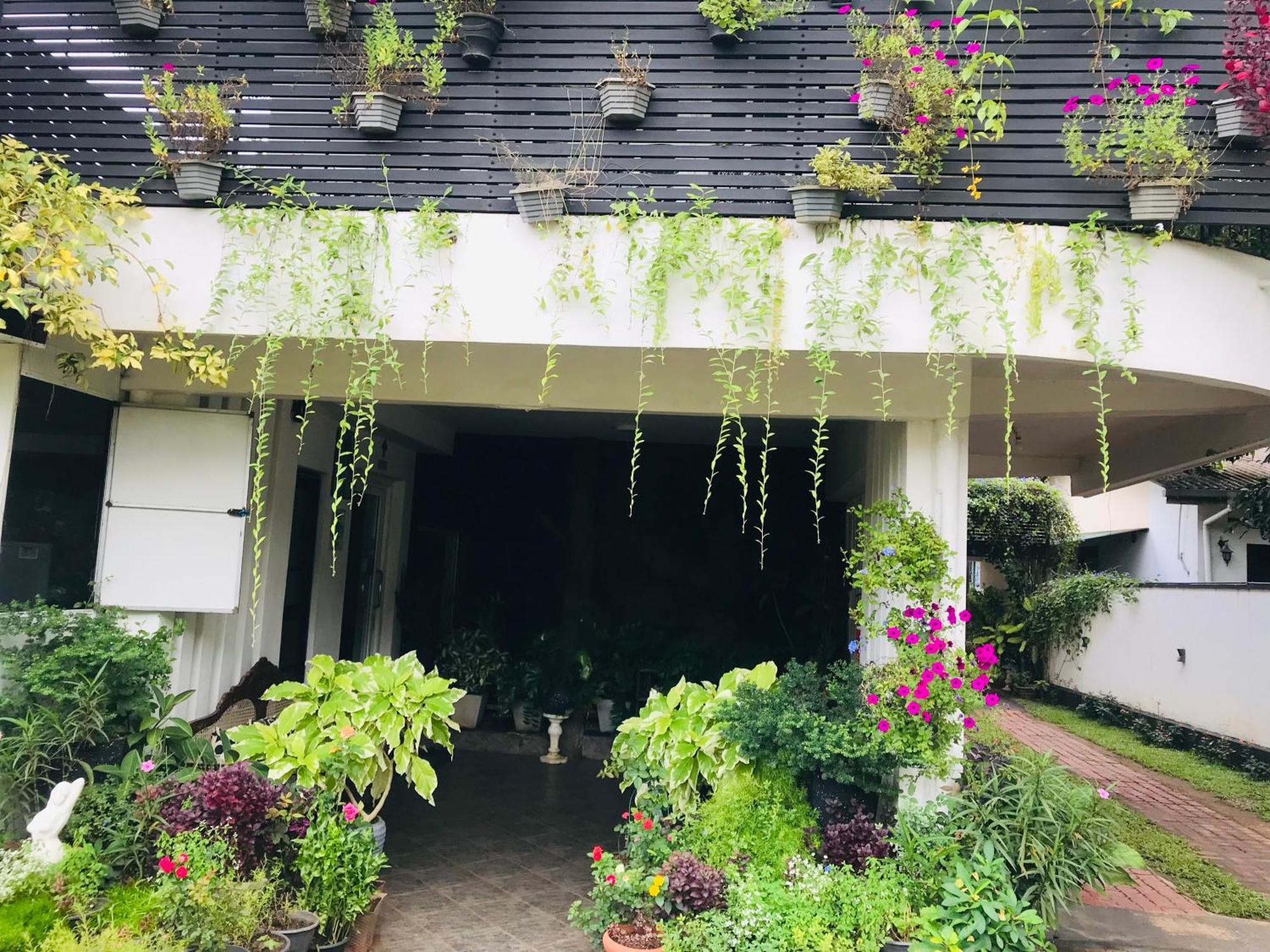 אנוראדפורה Pinidiya Resort מראה חיצוני תמונה