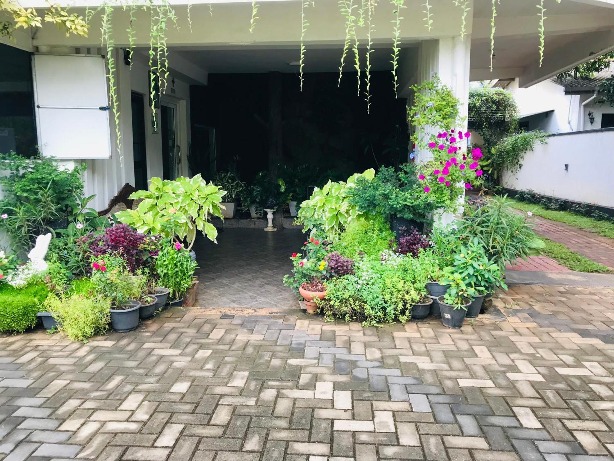 אנוראדפורה Pinidiya Resort מראה חיצוני תמונה