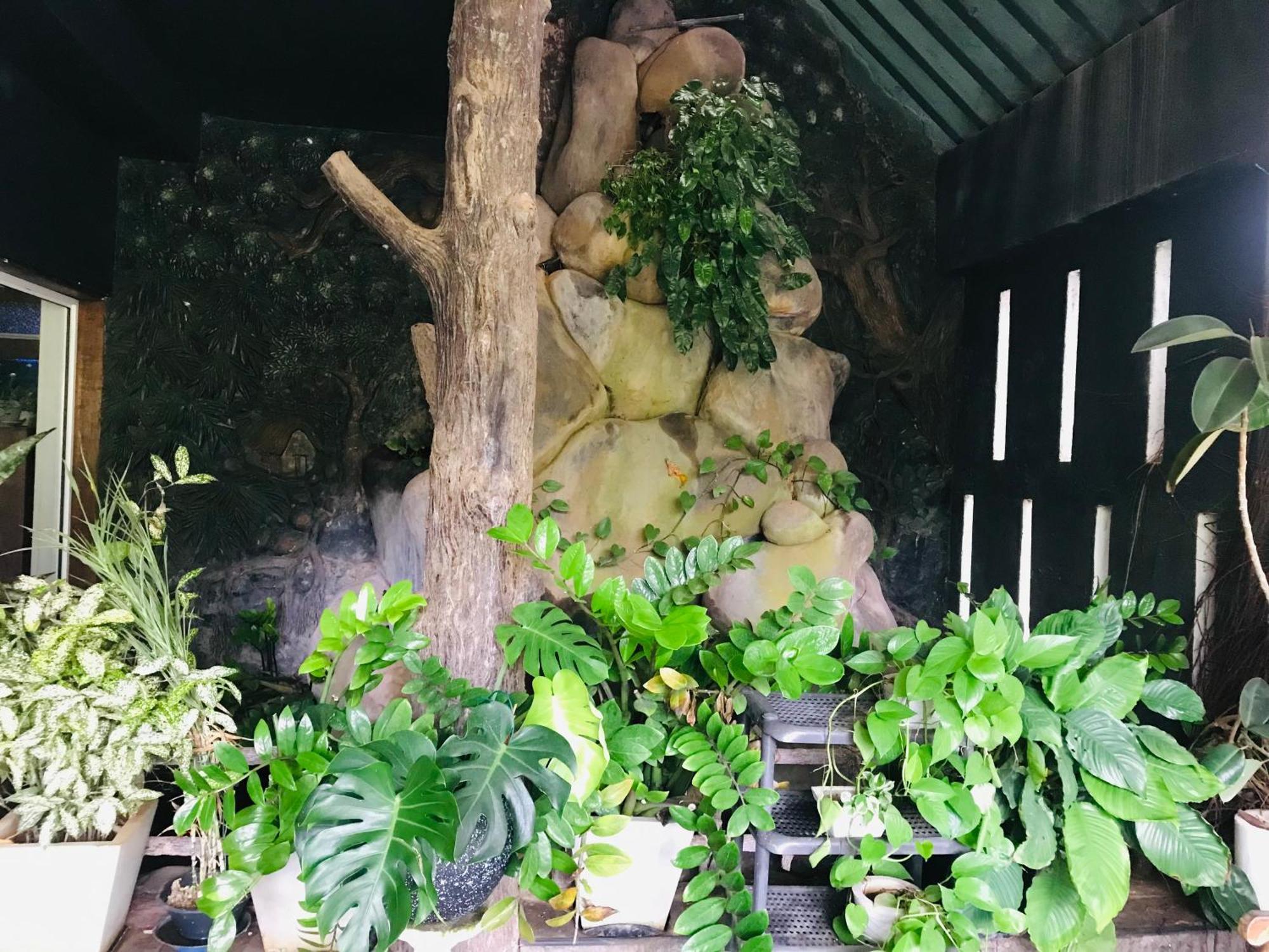 אנוראדפורה Pinidiya Resort מראה חיצוני תמונה
